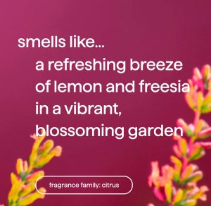 all-purpose cleaner – Lemon + Freesia. 28 fl oz