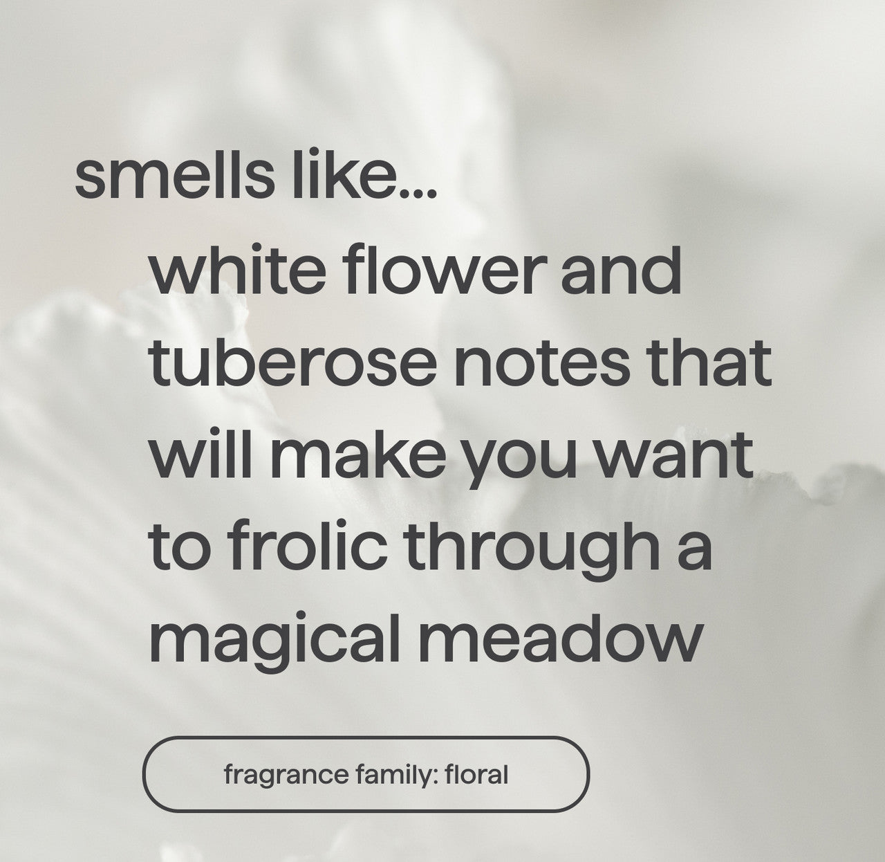 03_white_flower_tuberose_fragrance__70035.1732813230.1280.1280_3e71b88e-6449-4bcd-91ce-ec08ebe66b26.jpg