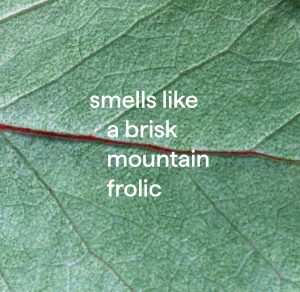 bathroom cleaning variety trio. 80 oz