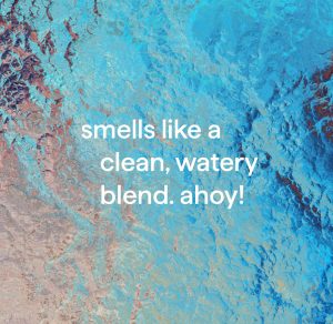 gel hand wash – sea minerals. 12 fl oz