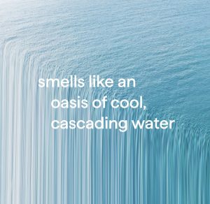 foaming hand wash – waterfall. 10 fl oz