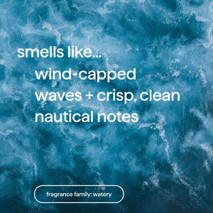 bar soap 2-pack – sea + surf. 10 oz